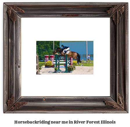 horseback riding near me in River Forest, Illinois